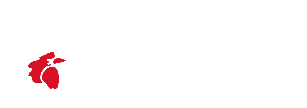 Mister Frango